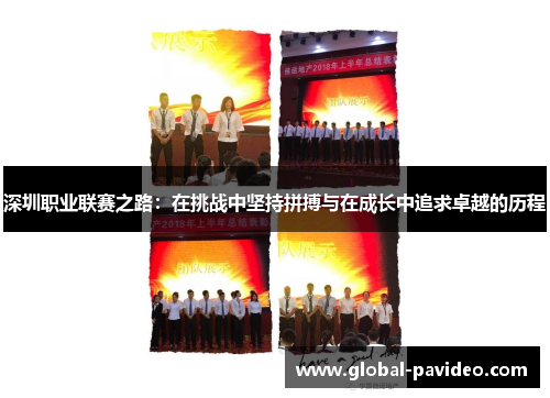 深圳职业联赛之路：在挑战中坚持拼搏与在成长中追求卓越的历程