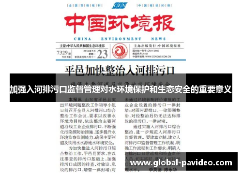 加强入河排污口监督管理对水环境保护和生态安全的重要意义