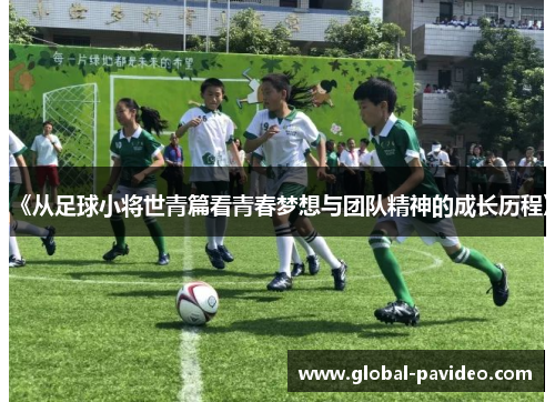 《从足球小将世青篇看青春梦想与团队精神的成长历程》