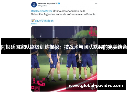 阿根廷国家队终极训练揭秘：技战术与团队默契的完美结合