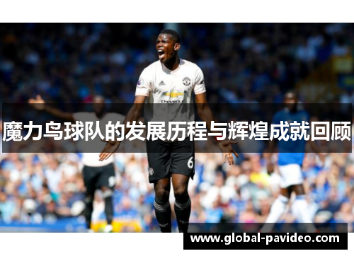 魔力鸟球队的发展历程与辉煌成就回顾