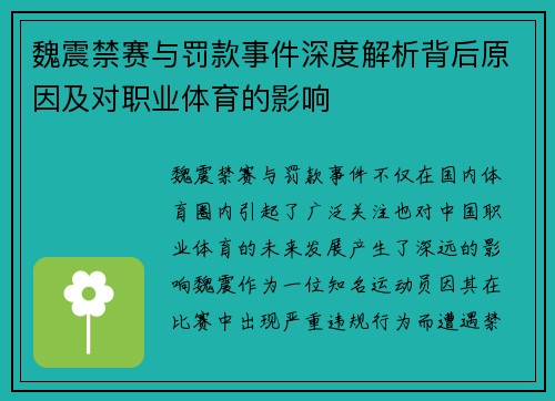 魏震禁赛与罚款事件深度解析背后原因及对职业体育的影响